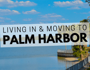 Palm Harbor