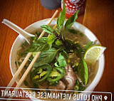 Pho Lotus food