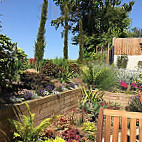 The Potting Shed Cafe outside