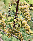 Weingut Engelhof Gebrüder Netzhammer Gbr food