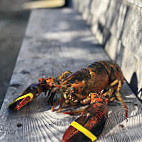 Menemsha Fish Market food