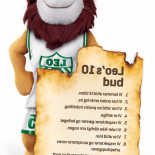 Leos Legeland Mad
