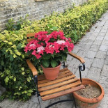 Lindegaarden Kollund Udenfor