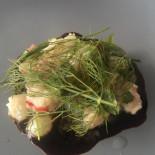 Aristo Café Mad