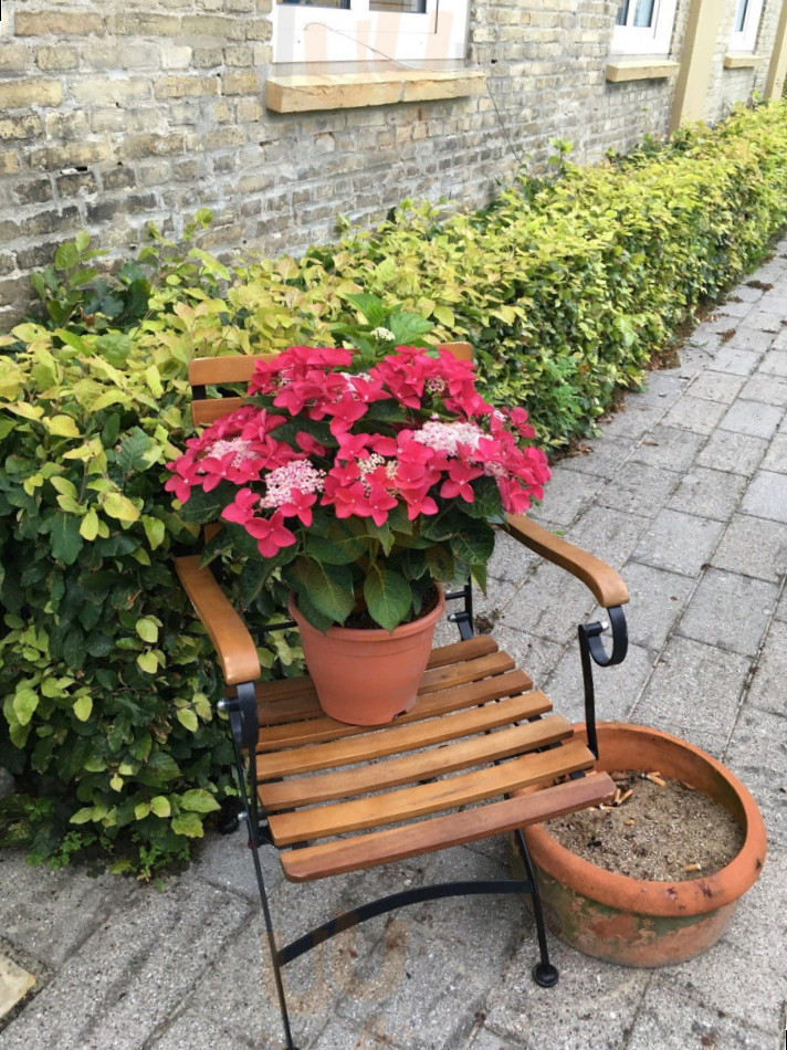 Lindegaarden Kollund Udenfor