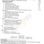 Messen Menu