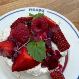 Figaro Inde