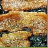 Cafeteria Kroen Inde