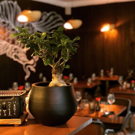 Koi Sushi Inde