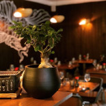 Koi Sushi Inde