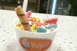 T-Willy's Yogurt food