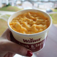 Wawa food