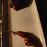 Feed Bistro Mad