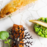 Fionie Mad