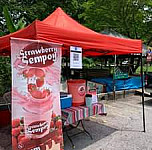 Royale Strawberry Sempoy outside