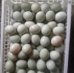 Jual Telur Asin Murah Lamongan No Wa 085730499014 food