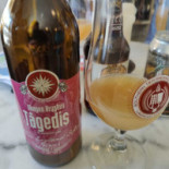 Fish Beer Mad