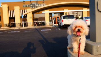 Corner Bakery outside