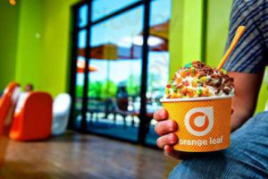 Orange Leaf Frozen Yogurt food