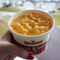 Wawa food