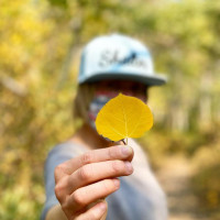 Shelter Distiling food