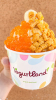 Yogurtland Arvada food