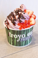 Froyo Earth food