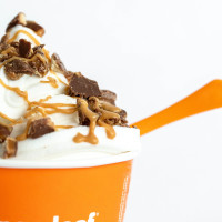 Orange Leaf Frozen Yogurt food