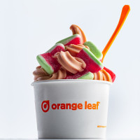 Orange Leaf Frozen Yogurt food