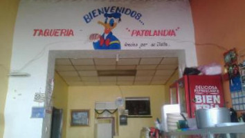 Taqueria Patolandia food