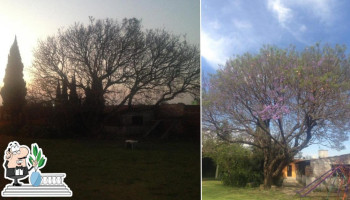 Antojeria Las Jacarandas outside