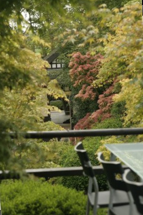 De Japanske Haver Inde