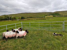 Glen Keen Farm Visitor Centre outside