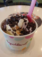 Yogurtland food