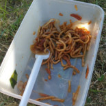 Kina Grill Mad