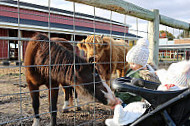 Gull Meadow Farms outside