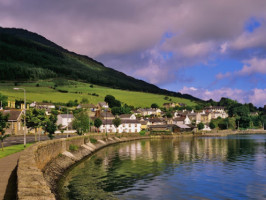 Carlingford Hen, Co. Louth food