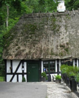 Moesgård Forest Mill outside