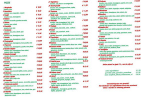 Pizzeria Delizia Lemmer menu