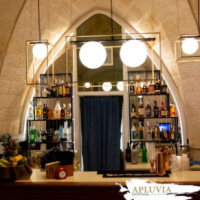 Apluvia Bistro&lounge food