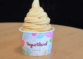 Yogurtland food