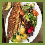 Bisserup Fisk Inde