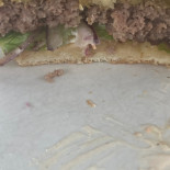 Homeburger Mad