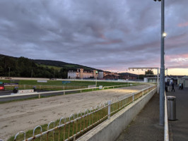 Clonmel Greyhound Stadium inside