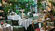 Afternoon Tea in the Conservatory at The Chesterfield Mayfair food