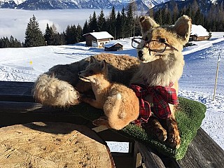 Skihütte FUCHSBAU, Jausenstation u. - Fam. Zechner