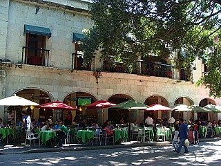 Terranova Cafeteria