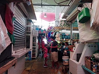 Mercado hidalgo veracruz