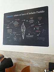 Freddo