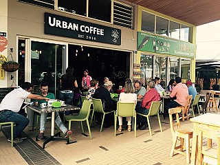 Urban Coffee Tree